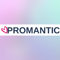 Promantic logo - Similar company to Ms Techfort