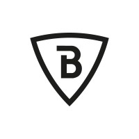 Brave Church logo - Similar company to Trinity Strategic Solutions