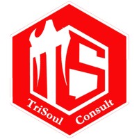 TriSoul Consult logo - Similar company to Walls Engineering, Pllc