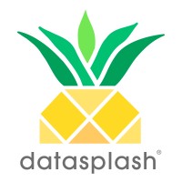 Datasplash