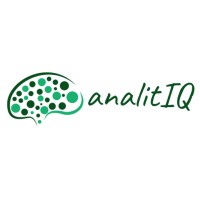 AnalitIQ Management logo - Similar company to Firenze Com Srl