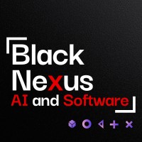 Black Nexus SPA logo - Similar company to Walaweb | Diseño Web Y Optimización Digital