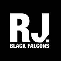 RJ Black Falcons GmbH logo - Similar company to Rj-Distribution
