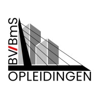 BV/BmS Opleidingen logo - Similar company to Lady Security