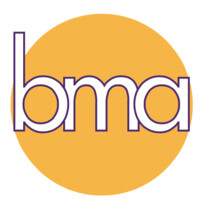 Business Management Associates logo - Similar company to Blackhawk Technologies & Solutions