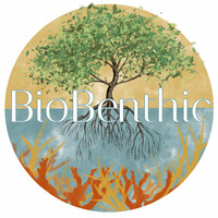 Biobenthic logo - Similar company to Torrey Pines Conservancy