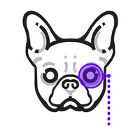 Zuti Digital logo - Similar company to Point Agency