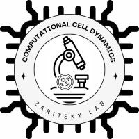 Lab of Computational Cell Dynamics logo - Similar company to Padova University Press