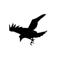 Raven Oilfield Services logo - Similar company to Cimarron