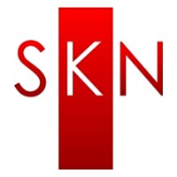 SKN Consulting logo - Similar company to B21