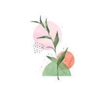 Praktijk Kaizen logo - Similar company to Monytr