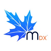Maple Digital Transformation logo - Similar company to Lizztech Consulting