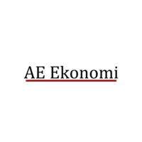 AE Ekonomi logo - Similar company to Niem Ekonomi