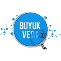 BüyükVeri.co logo - Similar company to Finera Finansal Veri Analizi