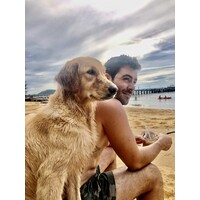 Digital Nomad International logo - Similar company to Loop Communications