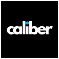 Caliber IDX logo - Similar company to Identityxp