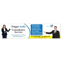Trigger india Consultants logo - Similar company to Trigger Education