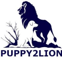Puppy 2 Lion logo - Similar company to Pay Virtual Uganda