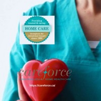 Careforce Home Health Care logo - Similar company to Academy Of Health Care Services