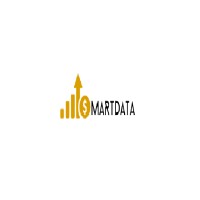SmartData logo - Similar company to Smartdata Learning