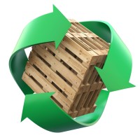 Palettes Services 49 logo - Similar company to Pgs Rdb Pallets