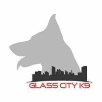 Glass City K9 Llc