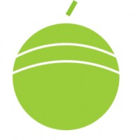 TheGreenOrange logo - Similar company to Scada Automation Jsc