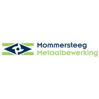 Mommersteeg Metaalbetaalwerking logo - Similar company to Rasterr