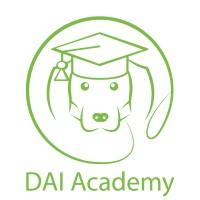 DAI Academy logo - Similar company to Anders Leren