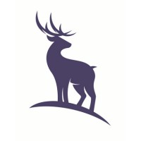 Deer Financial logo - Similar company to Deer Finance, Llc
