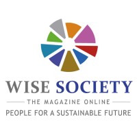 Wise Society logo - Similar company to Wise Community