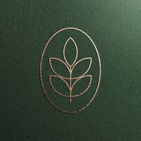 Boerfin logo - Similar company to Consortium Of Agricultural Economists And Business Agenda (Caeba)