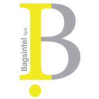Inversiones Bagsintel Spa logo - Similar company to Serteacom S.A.