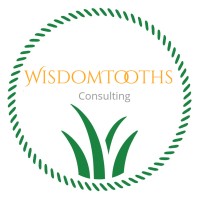 WisdomTooths Consultancy logo - Similar company to Declan Consulting