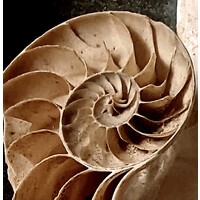 Spirali Group logo - Similar company to Fluorizon