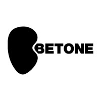 Betone.hu logo - Similar company to Actionlab