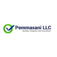 Pemmasani LLC logo - Similar company to Techfides