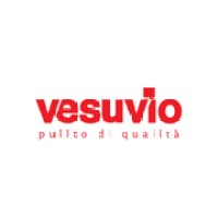 Vesuvio® logo - Similar company to Testa Group S.R.L.