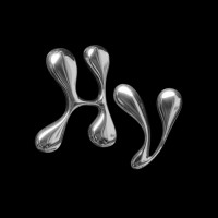 Hamish Vallabh logo - Similar company to Shiny Objects Group: Strategy. Branding. Problem-Solving.