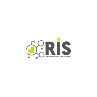 RIS logo - Similar company to Software Savants