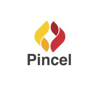 Pincel logo - Similar company to Ml Computer Vision Startup