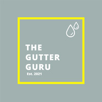 The Gutter Guru, LLC logo - Similar company to Gutter Guru