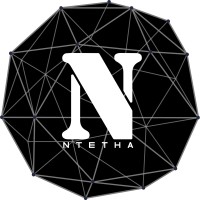 The Ntetha Organization logo - Similar company to The Finance Gym