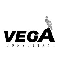 VEGA Consultant logo - Similar company to Orisun-Iot