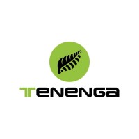 Tenenga logo - Similar company to Fibrocev Srl
