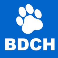 Black Dog Camera Hire logo - Similar company to Comic Express Studio