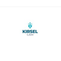 KIRSELCAM logo - Similar company to Winnice