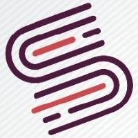 SaylaniTech logo - Similar company to Ammarthetrainer