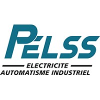 PELSS logo - Similar company to Technilab Development