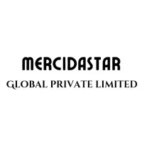 MERCIDASTAR GLOBAL logo - Similar company to Blue Eye Soft Corp
